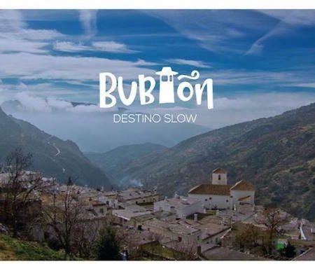 Bubion. Alpujarra Granadina Διαμέρισμα Εξωτερικό φωτογραφία